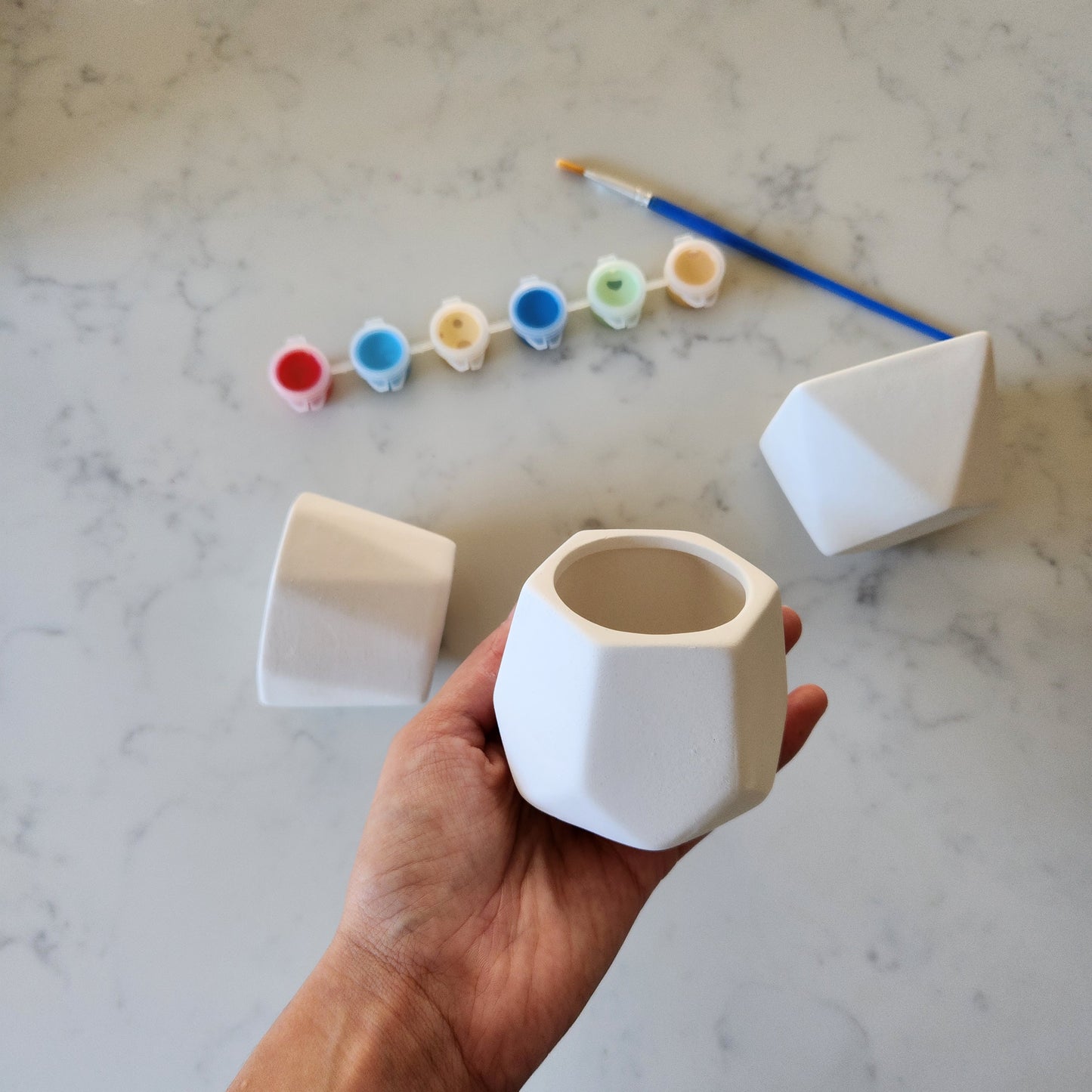 Paint your own Ceramic Planters