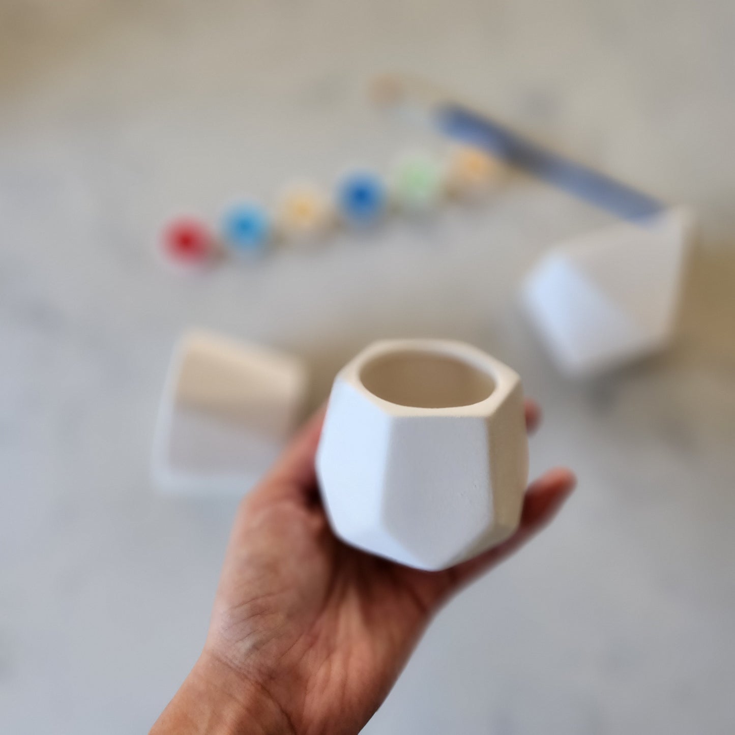 Paint your own Ceramic Planters