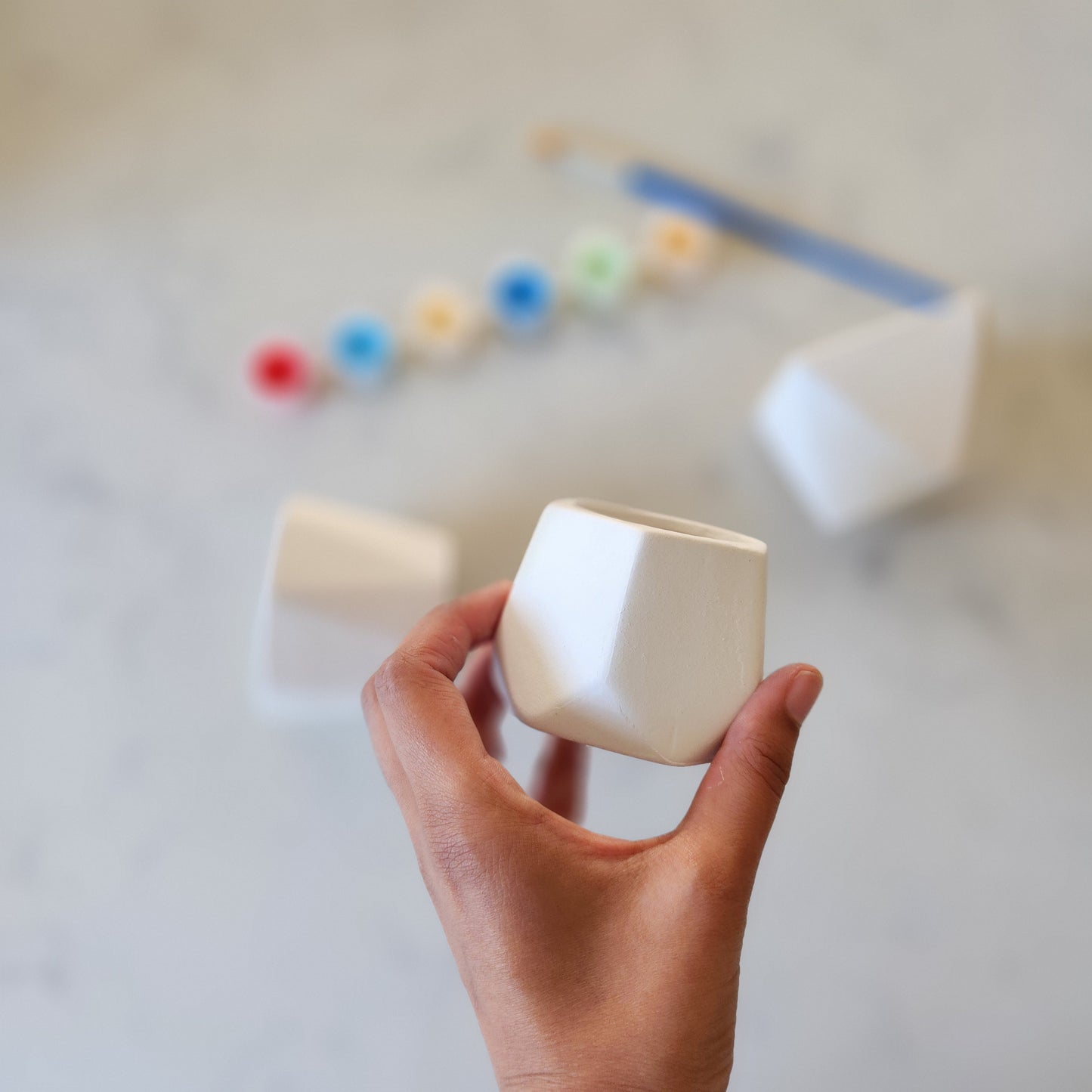 Paint your own Ceramic Planters
