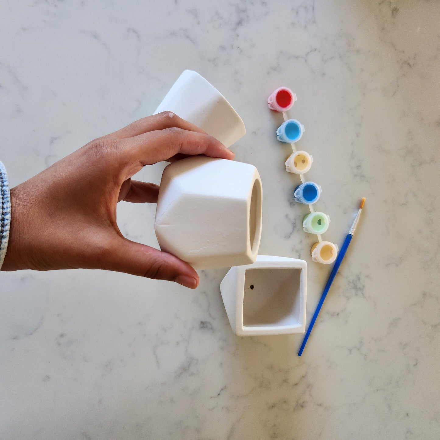 Paint your own Ceramic Planters