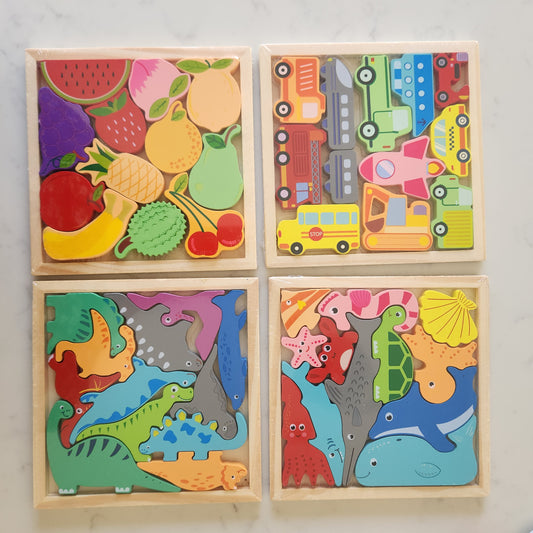 Wooden Puzzles - Various Designs