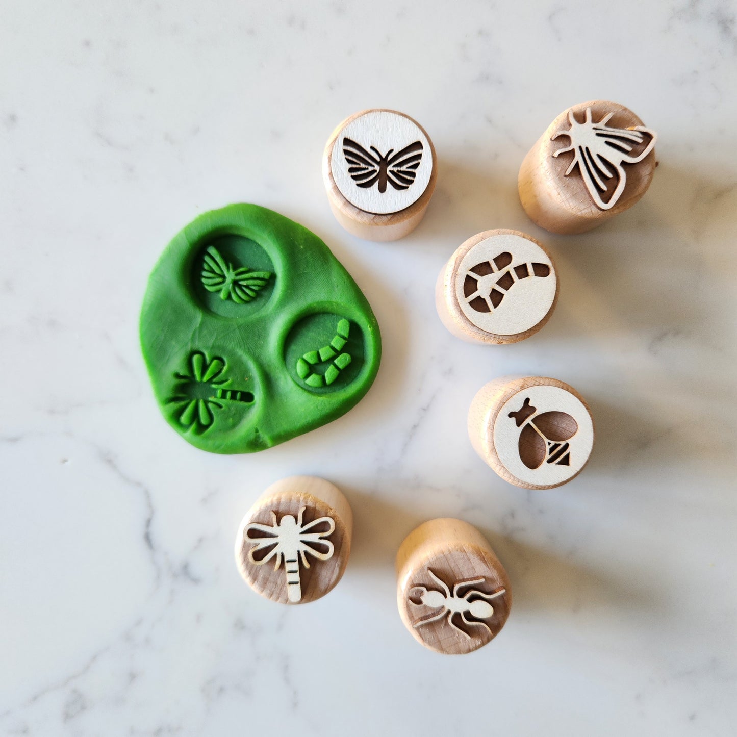Wooden Insect Stamp Set