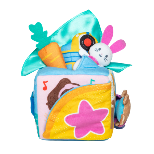 Ms Rachel Surprise Learning Box