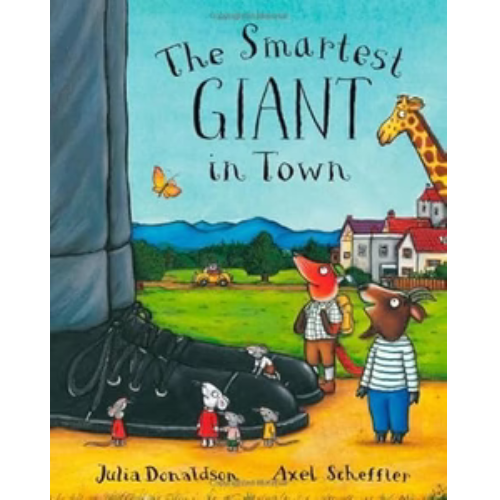 Julia Donaldson Books - Various Designs