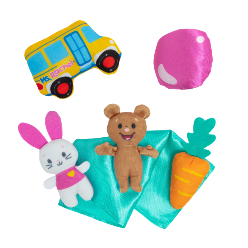 Ms Rachel Surprise Learning Box