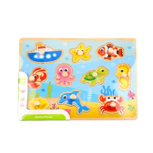 Tooky Toy Peg Puzzles
