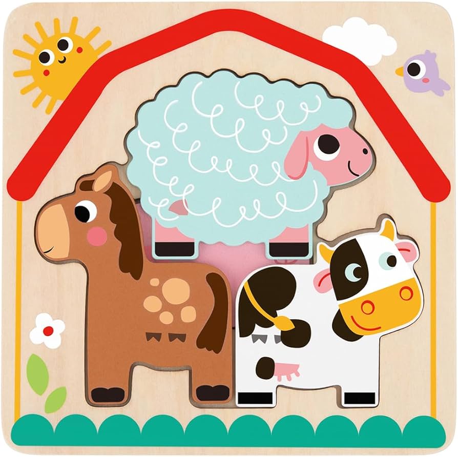 Tooky Toy Layered Puzzles - Various Designs