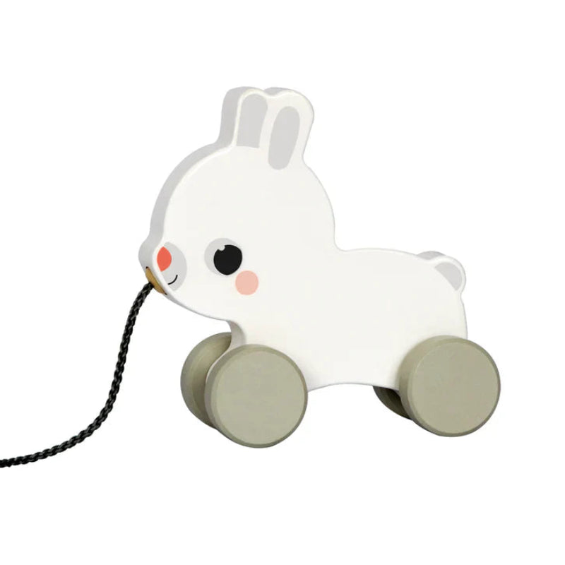 hi Pando Pull Along Animals - Various Designs