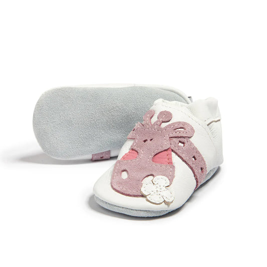 Shooshoos Antartica