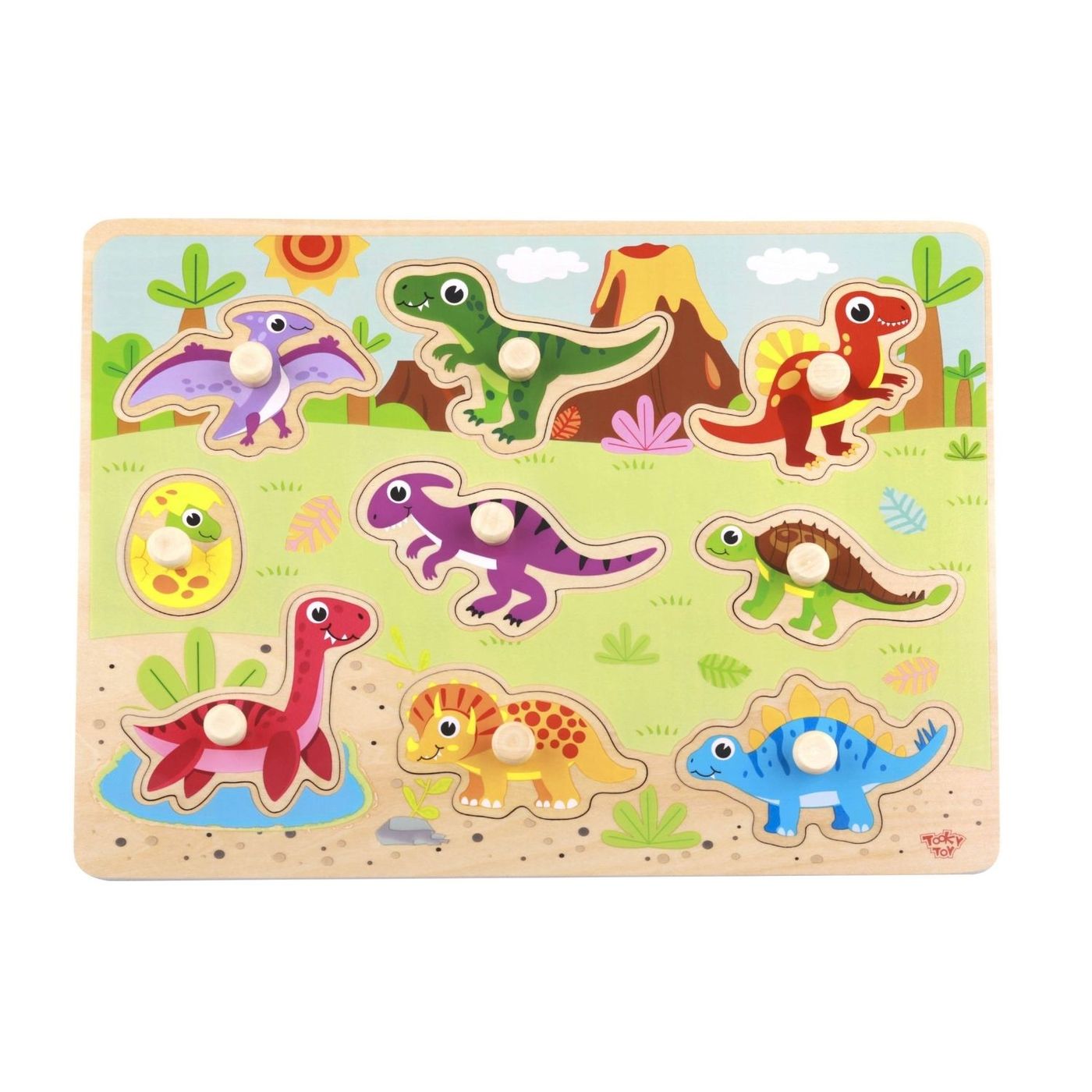 Tooky Toy Peg Puzzles