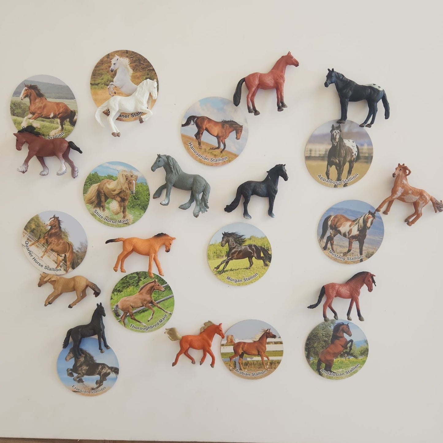 Horses and Cards - Set of 12