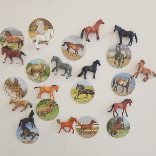 Horses and Cards - Set of 12