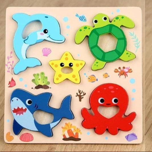 Easy Grip Puzzles - Various Designs