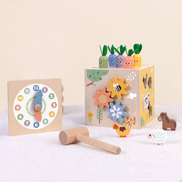 Tooky Toy Play Cube
