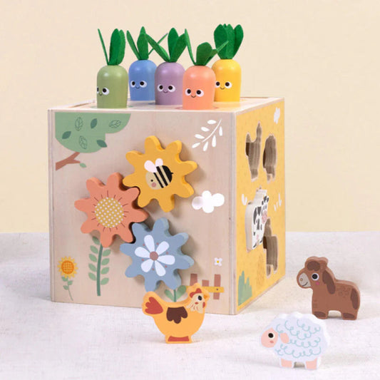 Tooky Toy Play Cube