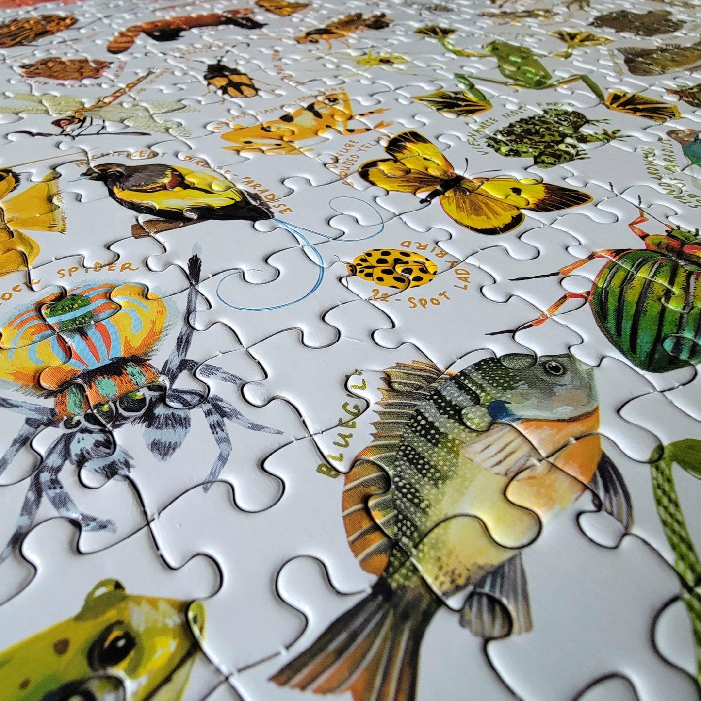 eeBoo - A Rainbow World 1000 Piece Puzzle