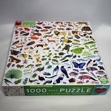 eeBoo - A Rainbow World 1000 Piece Puzzle