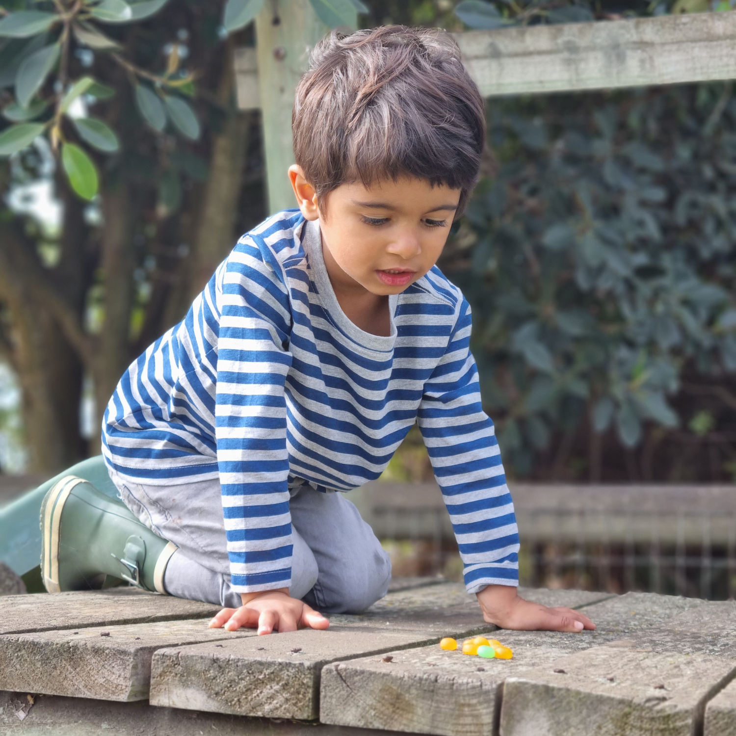 2-3 Years Old