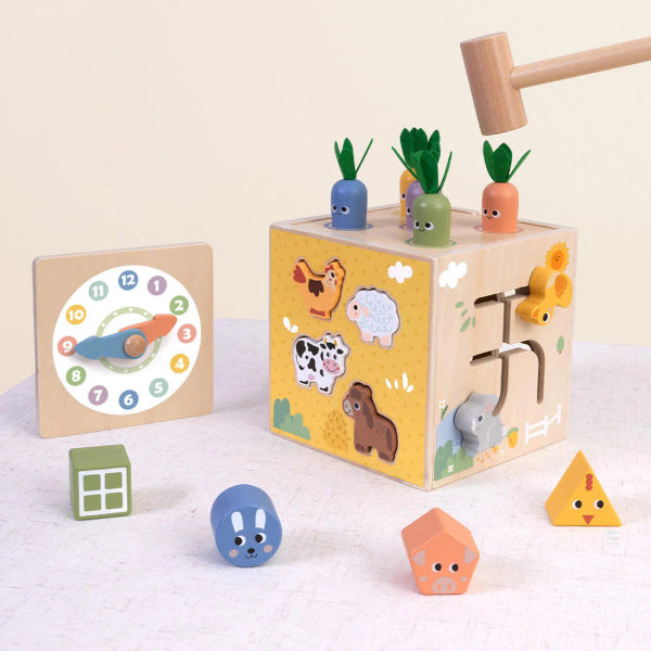 Tooky Toy Play Cube