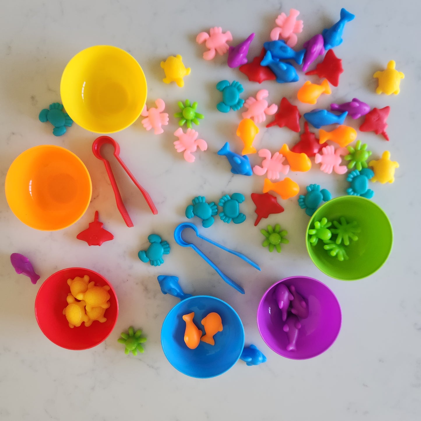 Counters and Sorting Activity Sets - Various Designs