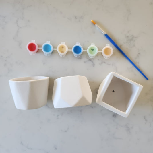 Paint your own Ceramic Planters