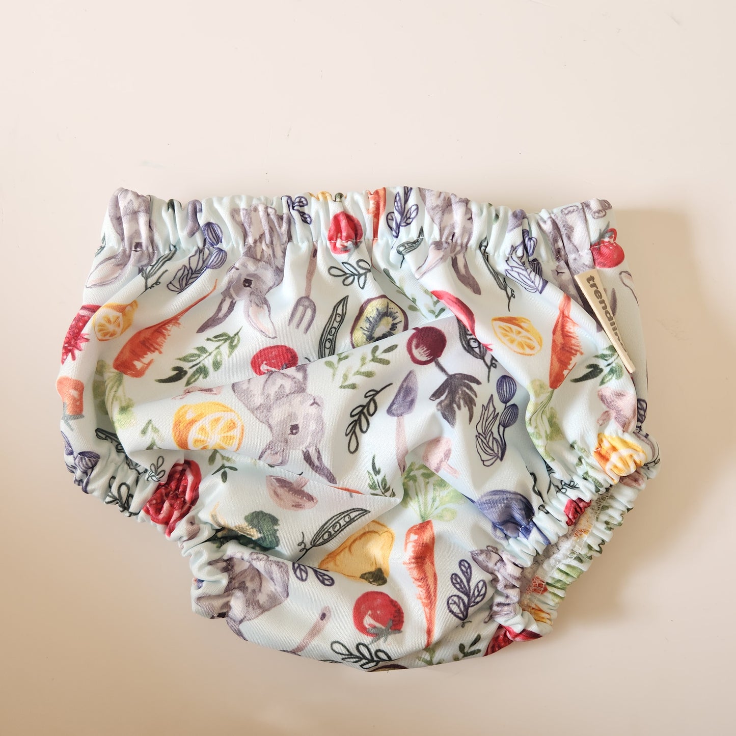 Swimming Nappy - Various Designs