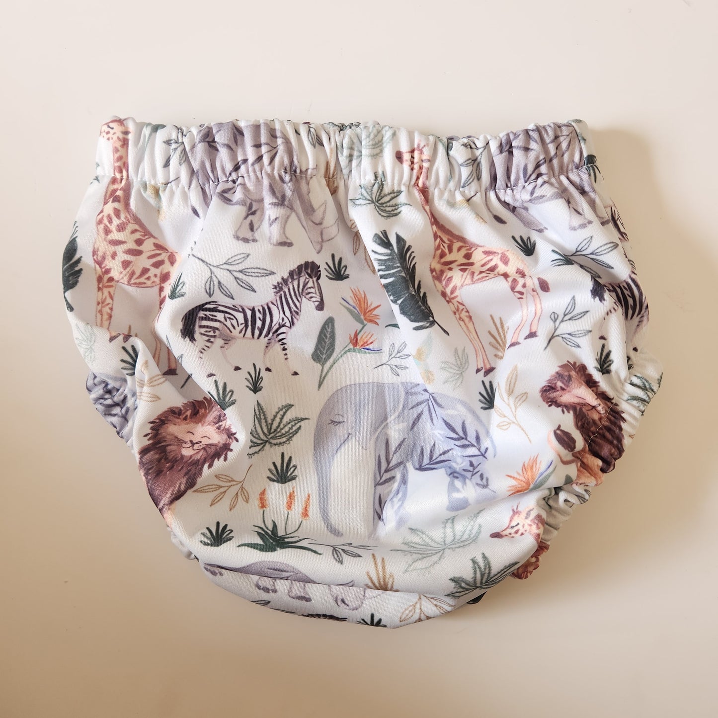 Swimming Nappy - Various Designs