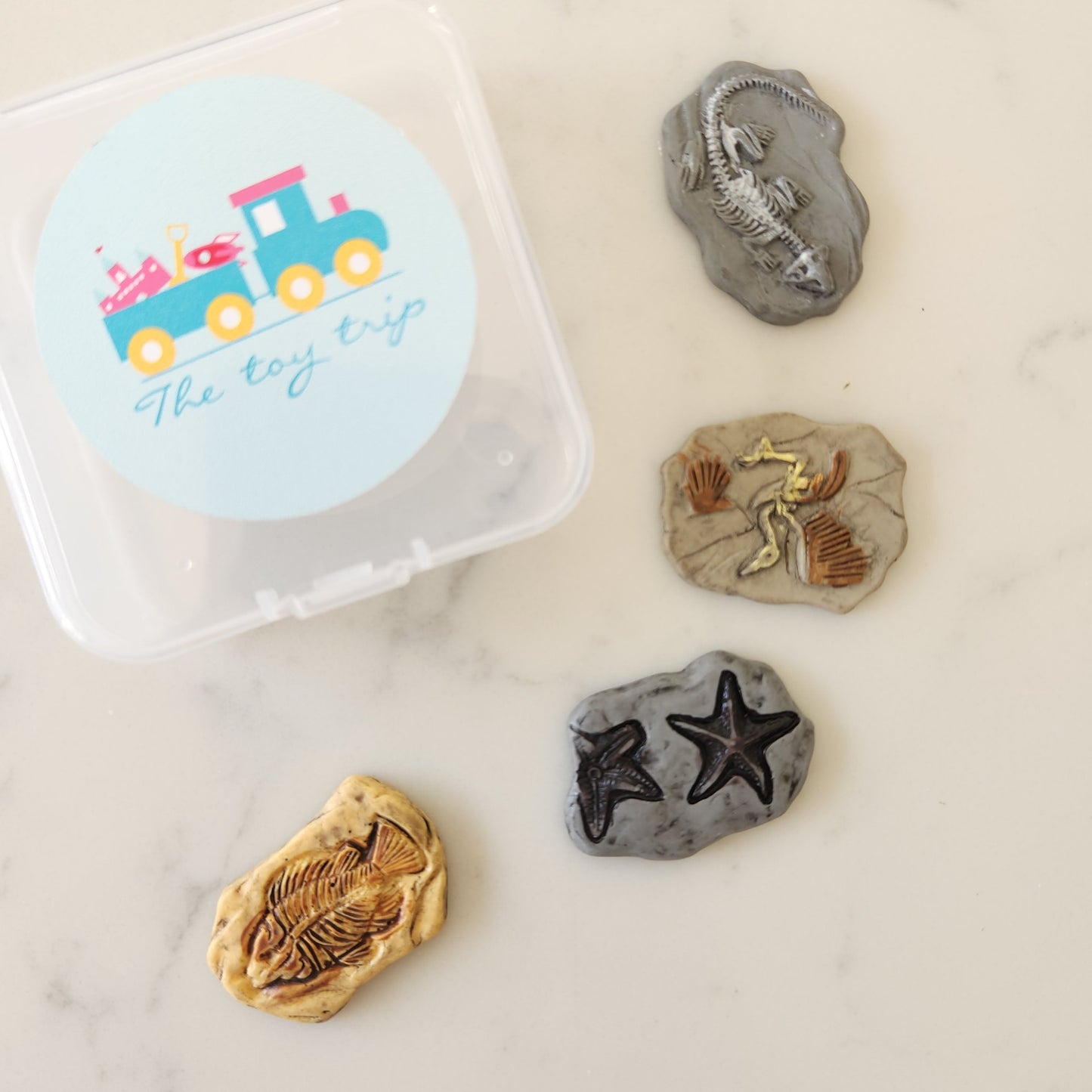 Dinosaur Fossils (set of 4)
