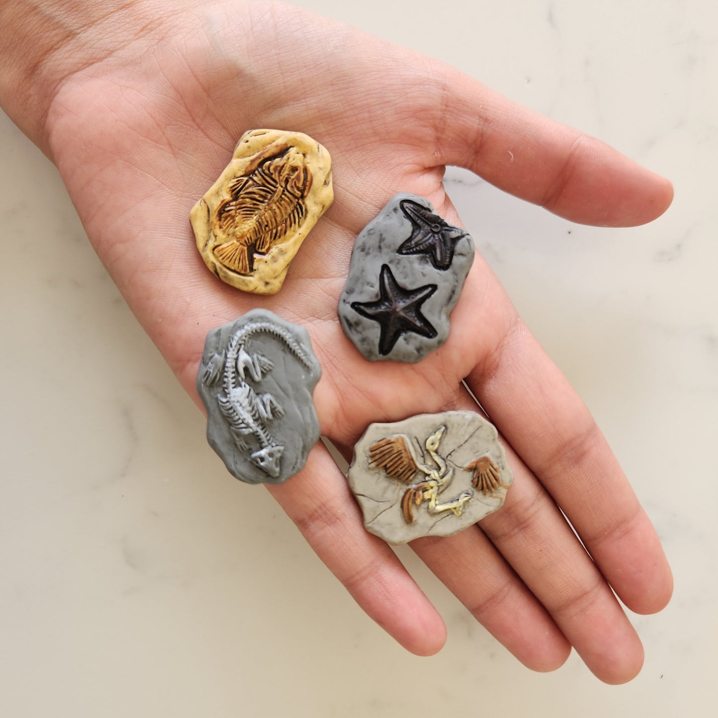 Dinosaur Fossils (set of 4)