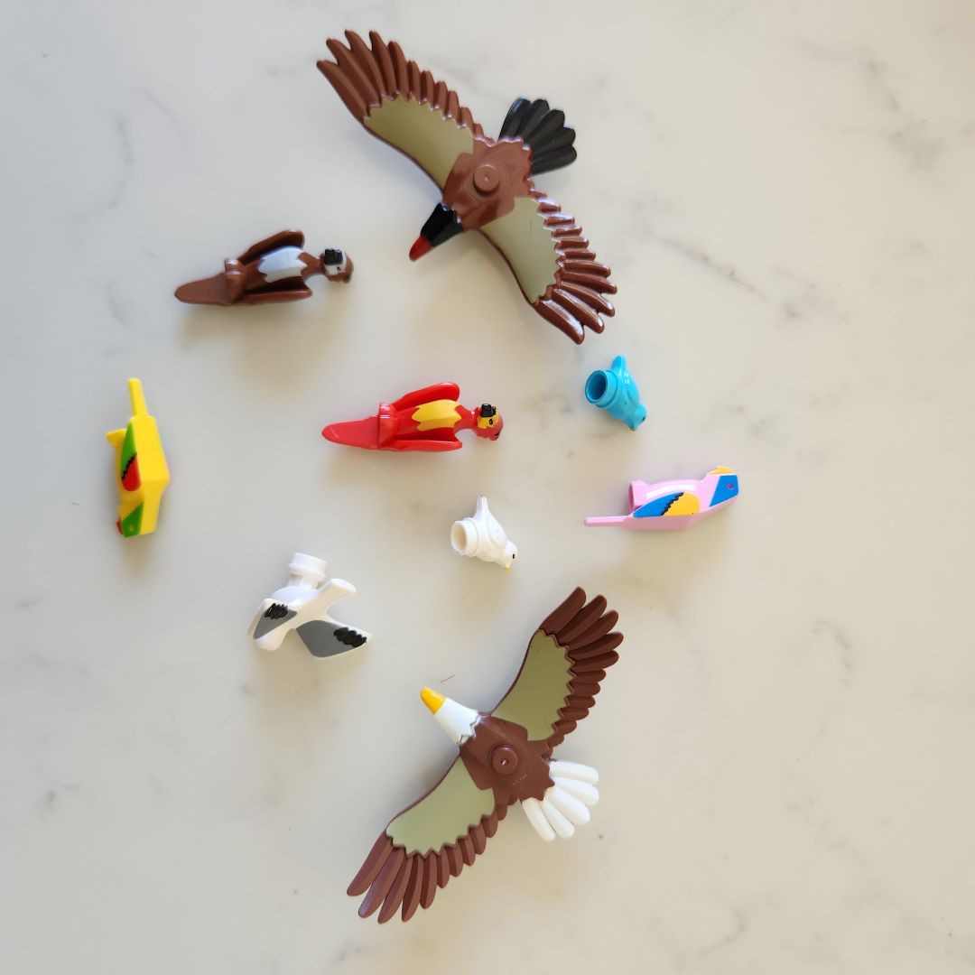 Brick Buddies (Lego Compatible Accessories)