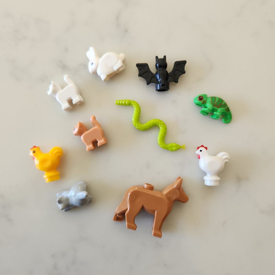 Brick Buddies (Lego Compatible Accessories)