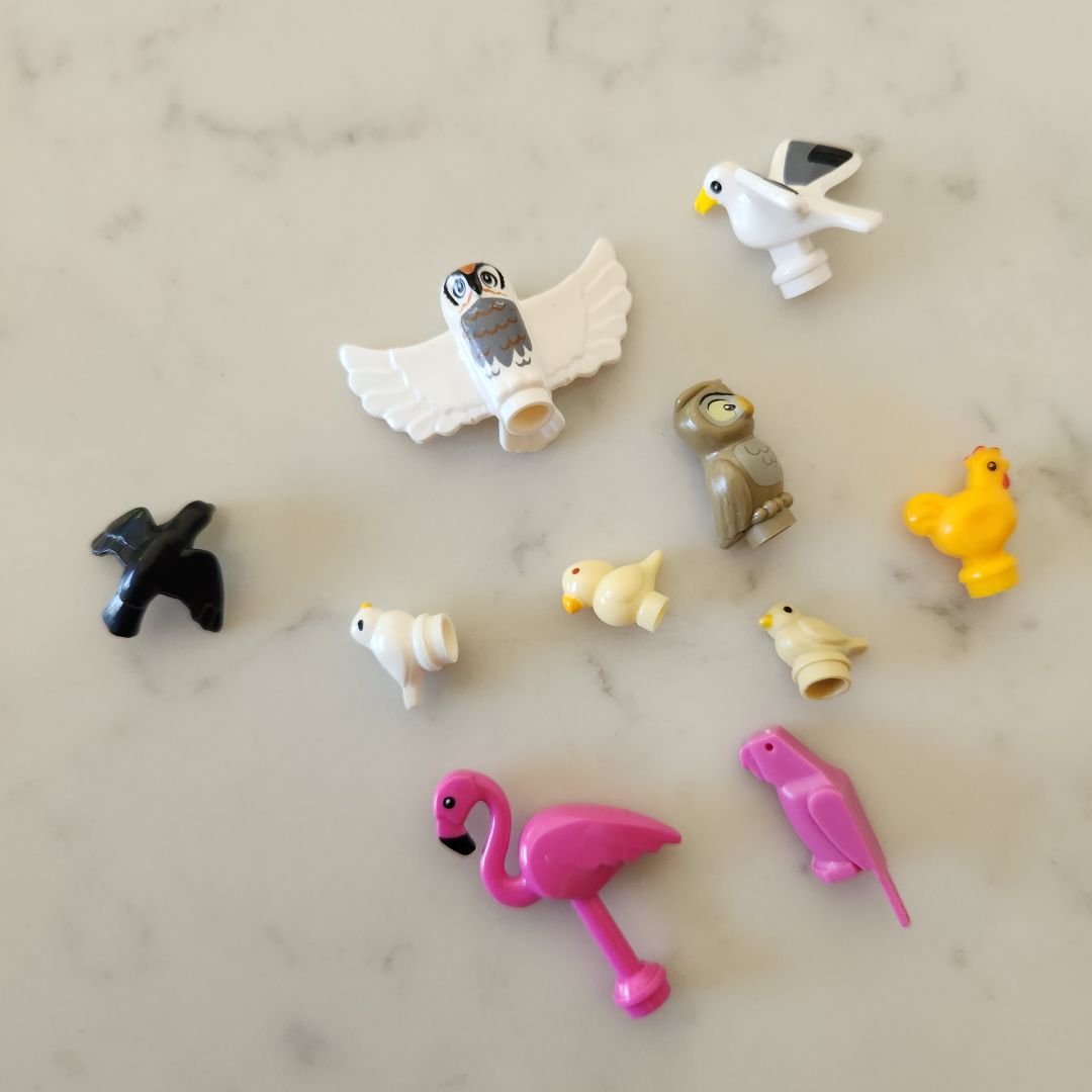 Brick Buddies (Lego Compatible Accessories)