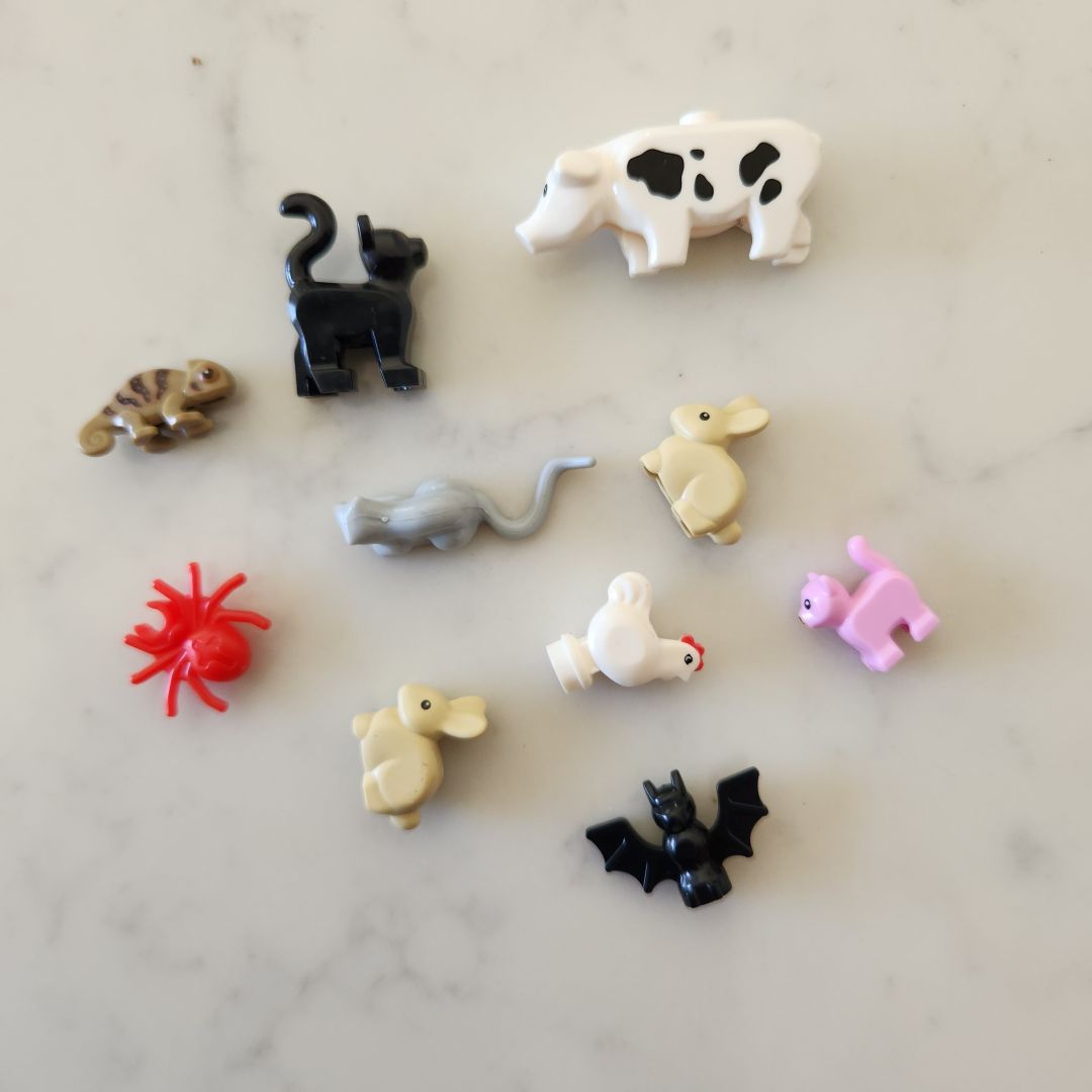 Brick Buddies (Lego Compatible Accessories)