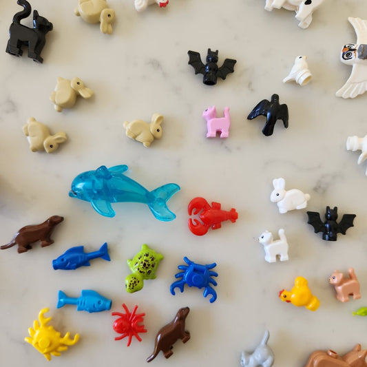 Brick Buddies (Lego Compatible Accessories)