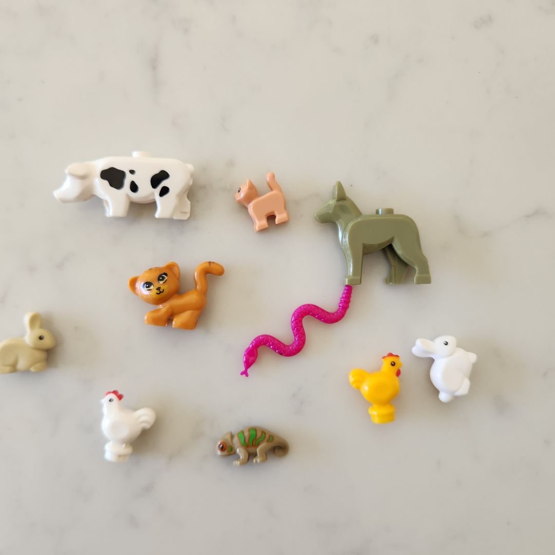 Brick Buddies (Lego Compatible Accessories)