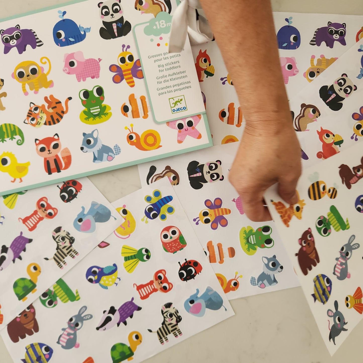 Djeco Stickers - Various Designs