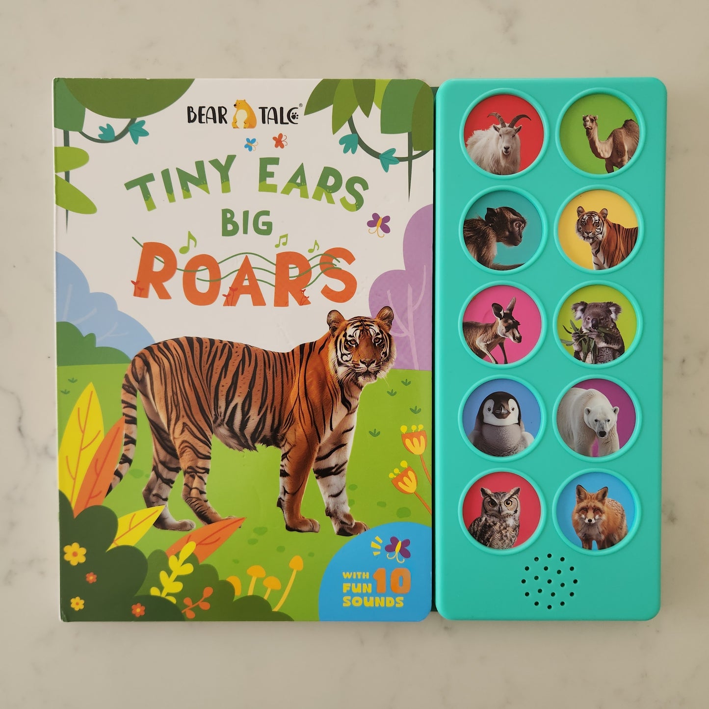 Bear Tale Sound Books