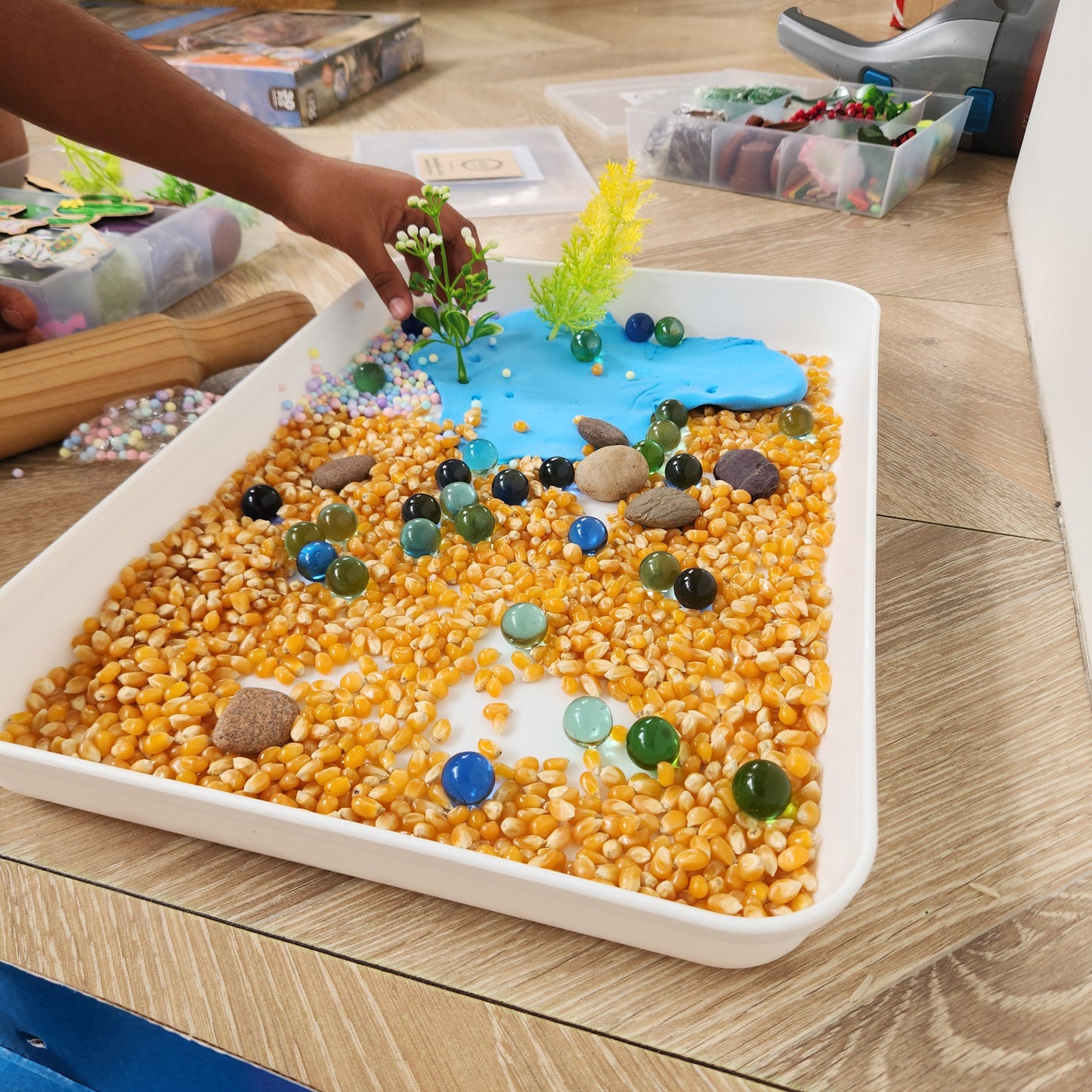 Trays for Sensory Messy Play or Arts & Crafts