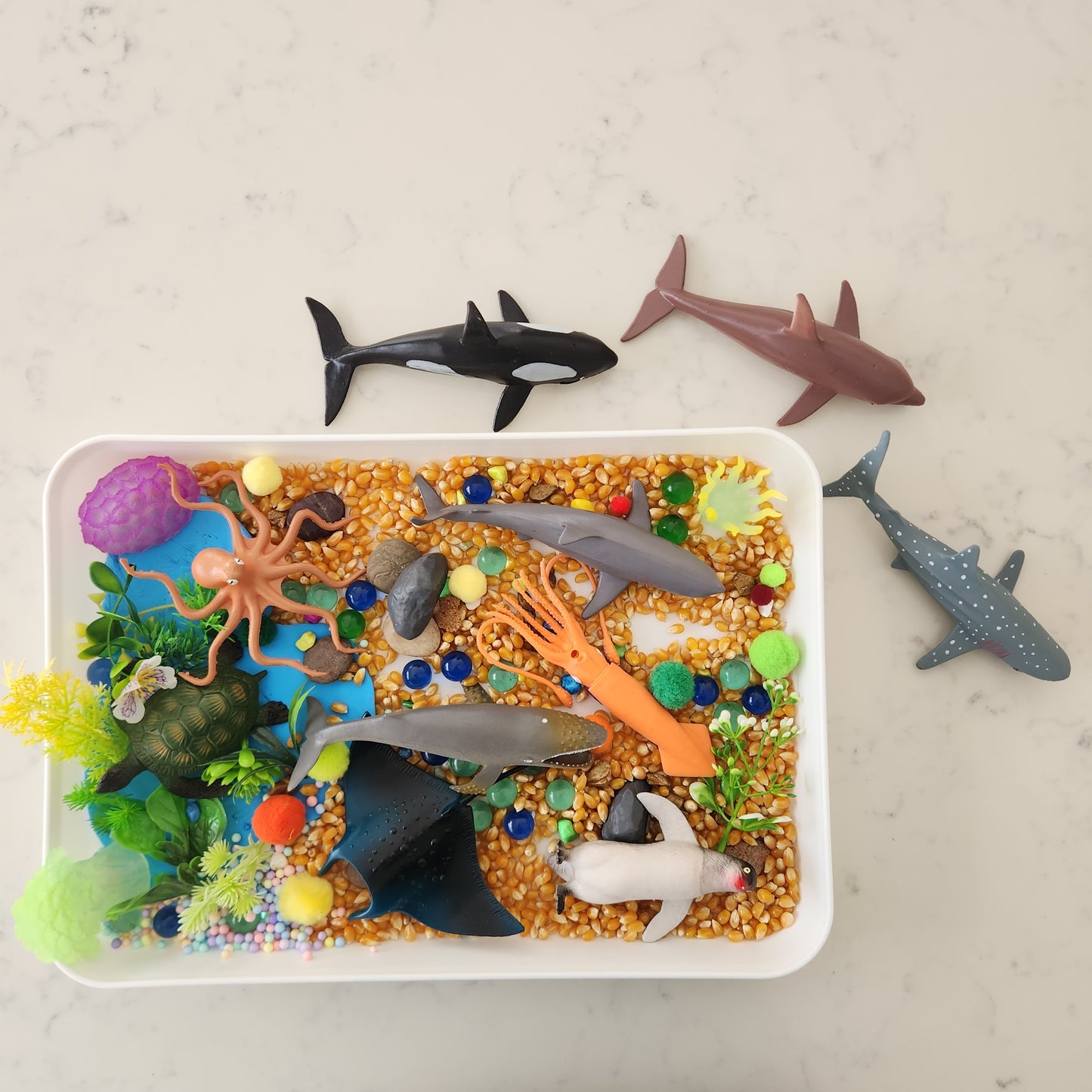 Trays for Sensory Messy Play or Arts & Crafts