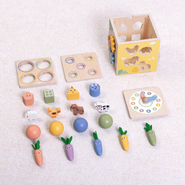 Tooky Toy Play Cube