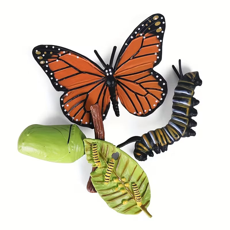 Life Cycle Sets - Various