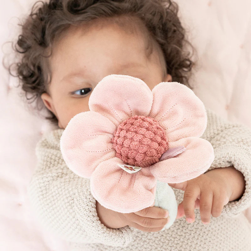 Little Dutch Rattle Flower - Fairy Garden