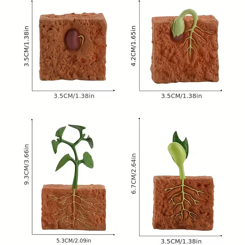 Life Cycle Sets - Various