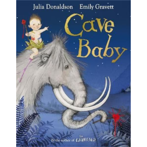 Julia Donaldson Books - Various Designs