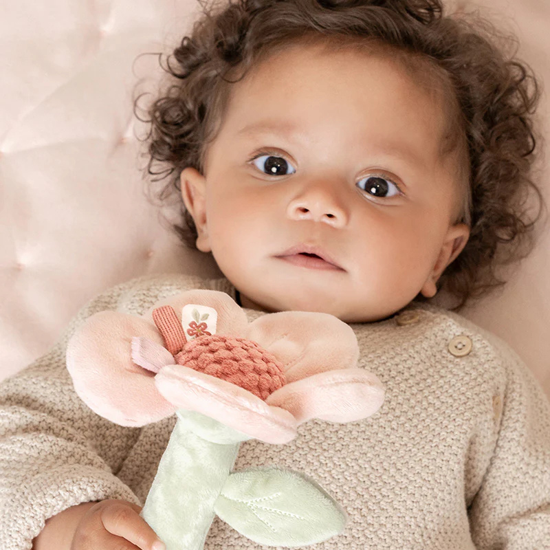 Little Dutch Rattle Flower - Fairy Garden