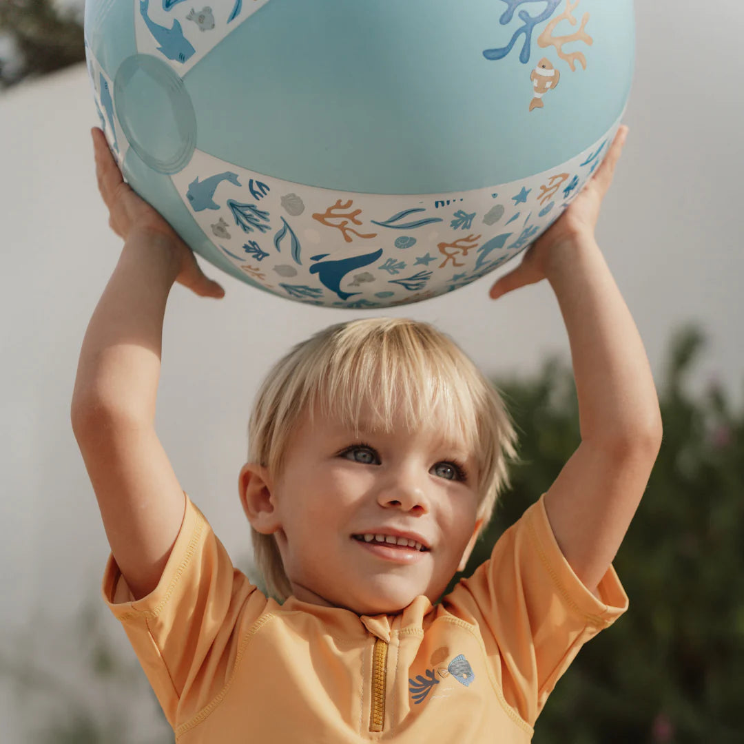 Little Dutch Beach Ball - Various Designs