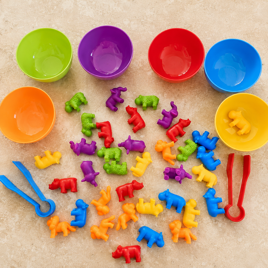 Counters and Sorting Activity Sets - Various Designs