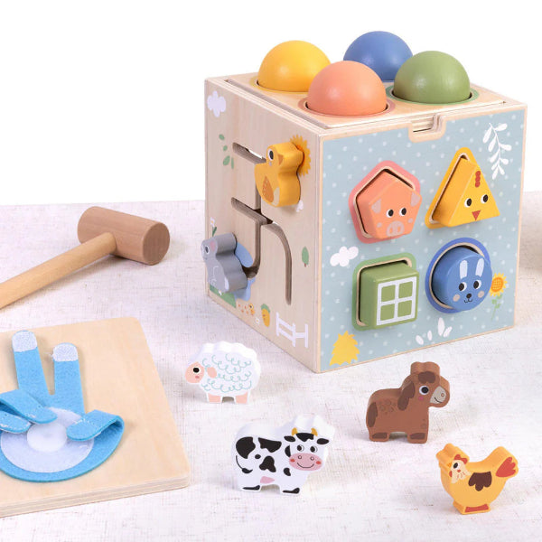 Tooky Toy Play Cube