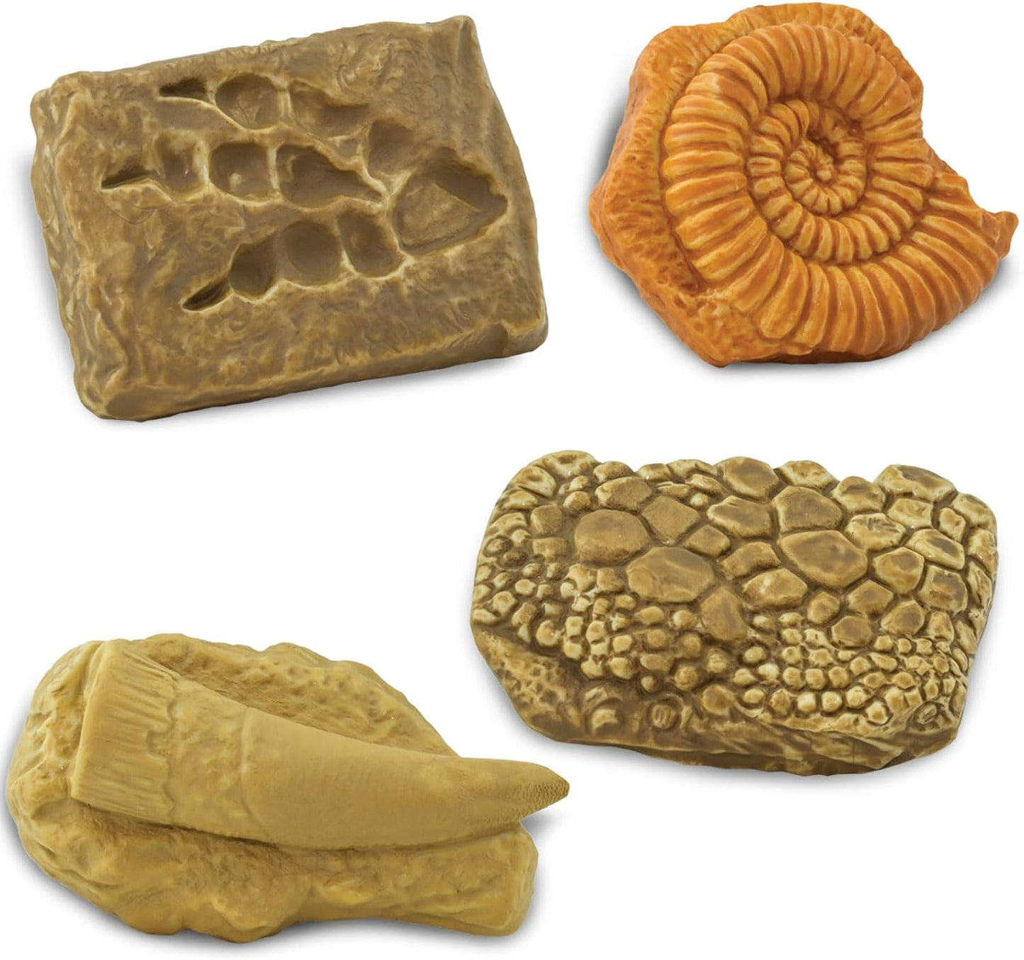 Safari LTD Ancient Fossils