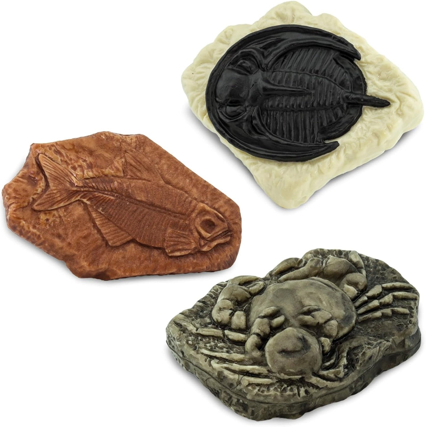 Safari LTD Ancient Fossils